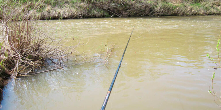 Ловля рыбы в мутной воде: где и на что лучше ловить