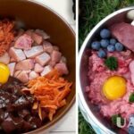 5 секретів блискучої шерсті: які продукти варто додати в раціон улюбленця