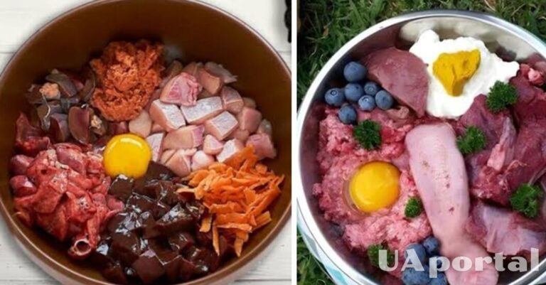 5 секретов блестящей шерсти: какие продукты стоит добавить в рацион любимца