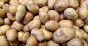 Картопляний крах: ціни в Україні падають – скільки коштує кілограм зараз