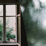 Цибулеве диво для вікон українців як захист від чогось