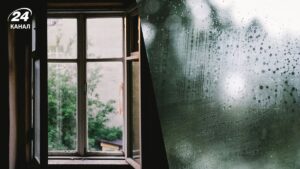 Цибулеве диво для вікон українців як захист від чогось